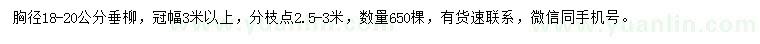 求購胸徑18-20公分垂柳