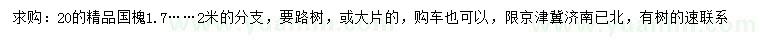 求購(gòu)20公分精品國(guó)槐