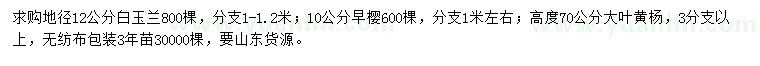 求購白玉蘭、早櫻、大葉黃楊