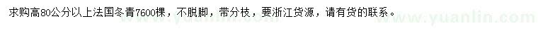求購高80公分以上法國冬青
