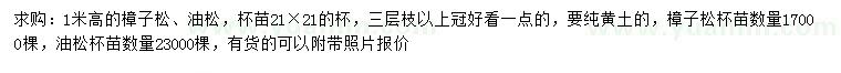 求購(gòu)高1米樟子松、油松