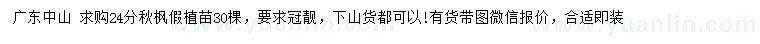 求購24公分秋楓假植苗