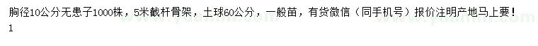 求購(gòu)胸徑10公分無(wú)患子