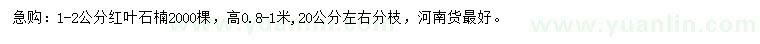 求購1-2公分紅葉石楠