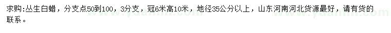 求購地徑35公分以上叢生白蠟