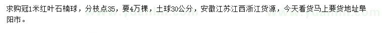 求購(gòu)冠1米紅葉石楠球