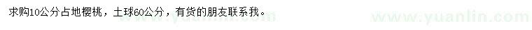 求購10公分占地櫻桃