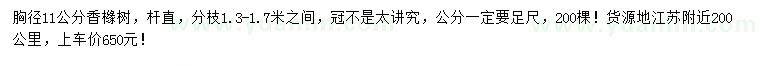 求購胸徑11公分香櫞樹
