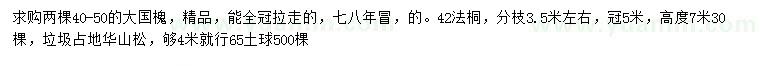求購國槐、法桐、華山松