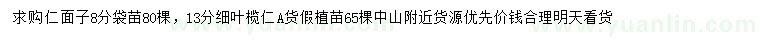 求購8公分人面子袋苗、13公分細(xì)葉欖仁