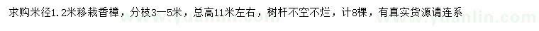 求購(gòu)米徑1.2米移栽香樟