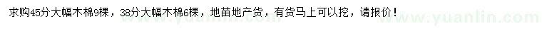 求購38、45公分大腹木棉