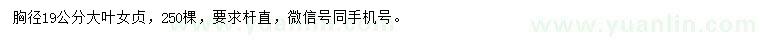 求購(gòu)胸徑19公分大葉女貞