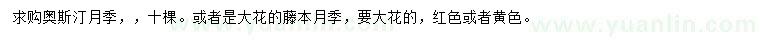 求購?qiáng)W斯汀月季、大花藤本月季