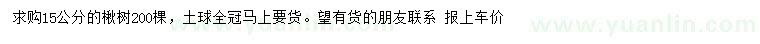 求購15公分楸樹