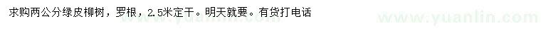 求購2公分綠皮柳樹