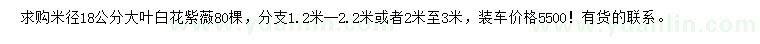 求購米徑18公分大葉白花紫薇