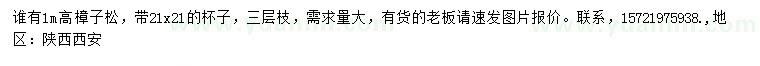 求購(gòu)1米高樟子松