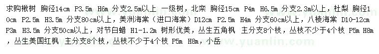 求購(gòu)楸樹(shù)、北欒、杜梨等