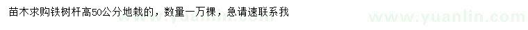 求購桿高50公分鐵樹