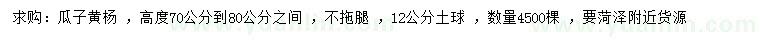 求購高70-80公分瓜子黃楊