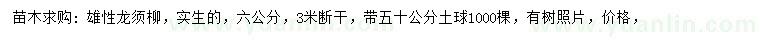 求購6公分雄性龍須柳