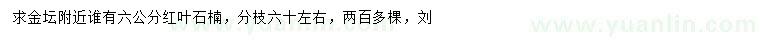 求購6公分紅葉石楠