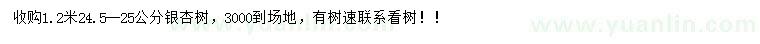 求購(gòu)1.2米量24.5-25公分銀杏樹
