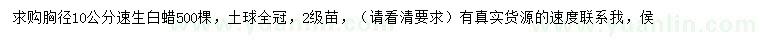 求購胸徑10公分速生白蠟
