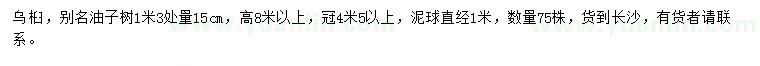 求購1.3米量15公分烏桕