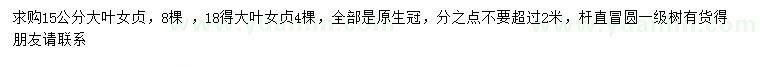 求購15、18公分大葉女貞