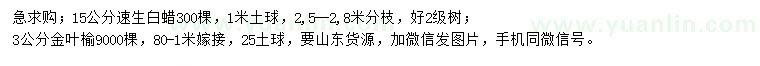 求購15公分速生白蠟、3公分金葉榆