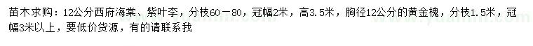 求購西府海棠、紫葉李、黃金槐