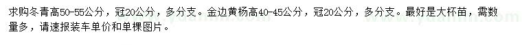 求購高50-55公分冬青、40-45公分金邊黃楊