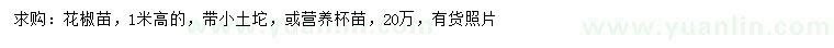 求購高1米花椒苗