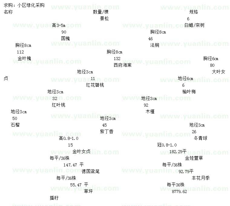 求購景松、白蠟、欒樹等