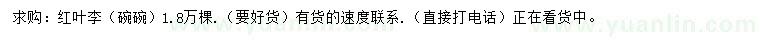 求購紅葉李