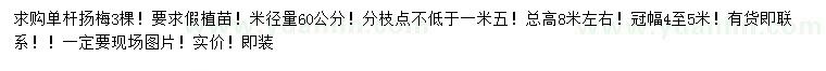 求購米徑量60公分單桿揚梅