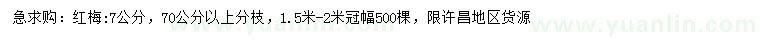 求購7公分紅梅