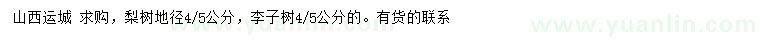 求購地徑4、5公分梨樹、李子樹