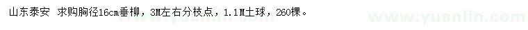 求購胸徑16公分垂柳