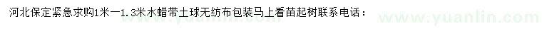 求購1-1.3米水蠟