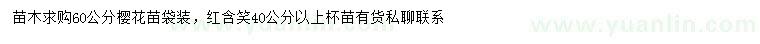 求購60公分櫻花苗、40公分以上紅含笑