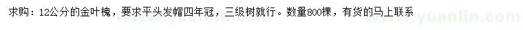 求購12公分金葉槐