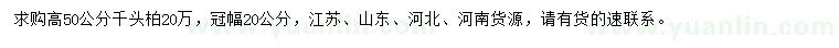 求購高50公分千頭柏