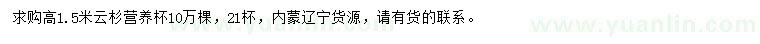 求購高1.5米云杉