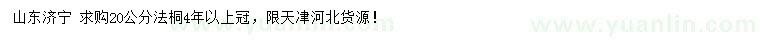 求購20公分法桐