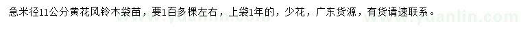 求購(gòu)米徑11公分黃花風(fēng)鈴木