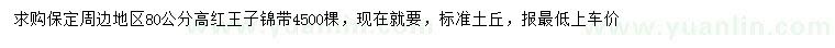 求購(gòu)高80公分紅王子錦帶