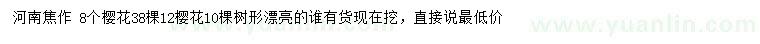 求購(gòu)8、12公分櫻花